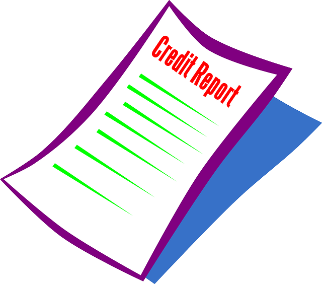 Credit Reports